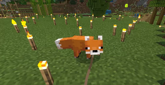 tame-a-fox-in-minecraft