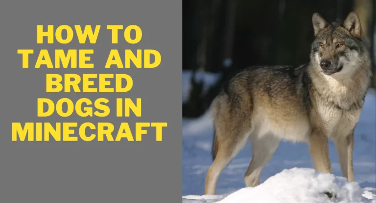how-to-tame-and-breed-wolves-in-minecraft