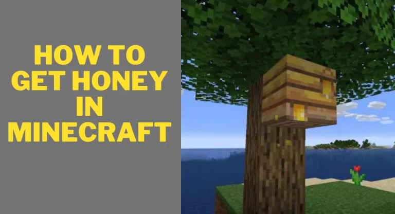 how to get honey in minecraft