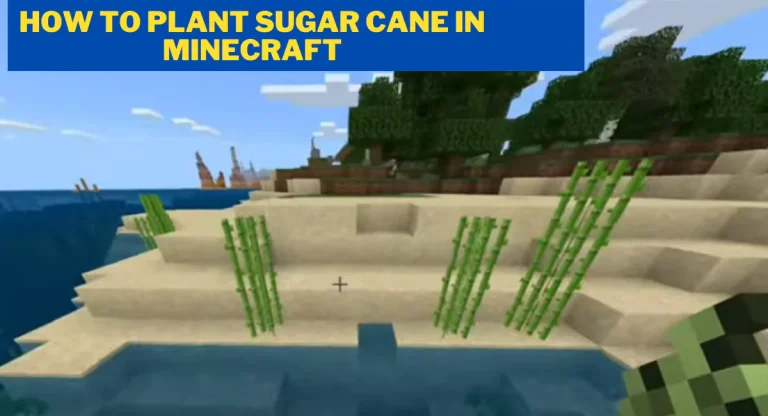 how-to-grow-sugar-cane-in-minecraft