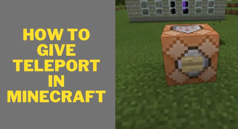 how-to-make-tp-in-minecraft