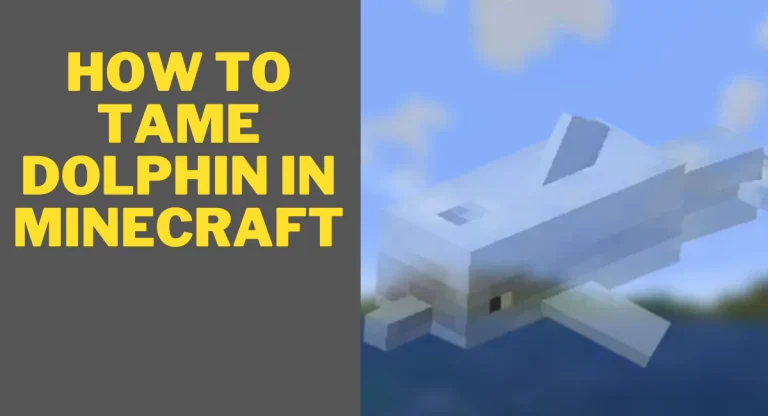 how-to-tame-dolphin-in-minecraft