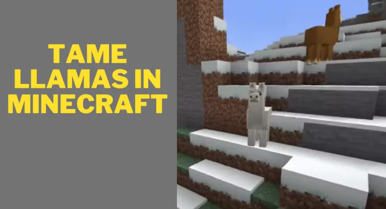 how-to-tame-llamas-in-minecraft